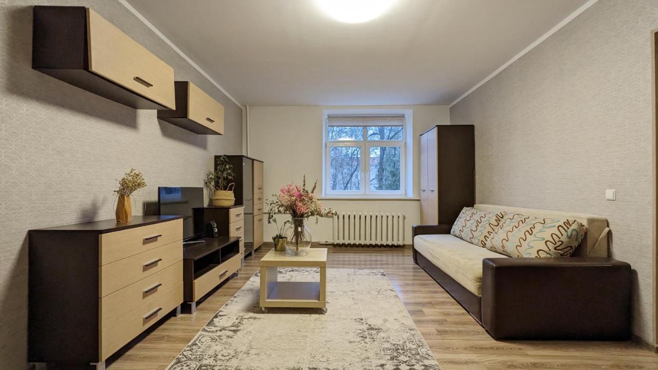 Apartment German Street Wilna